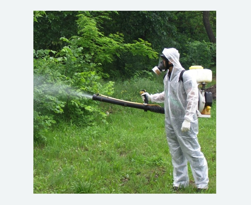 обработка территории от клещей в Медногорске