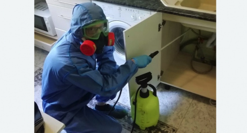 Уничтожение муравьев в квартире. Медногорск