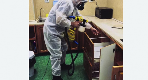 Дезинсекция квартиры. Медногорск