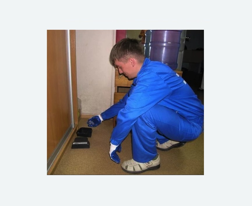 Дератизация крыс Дератизация крыс в Медногорске