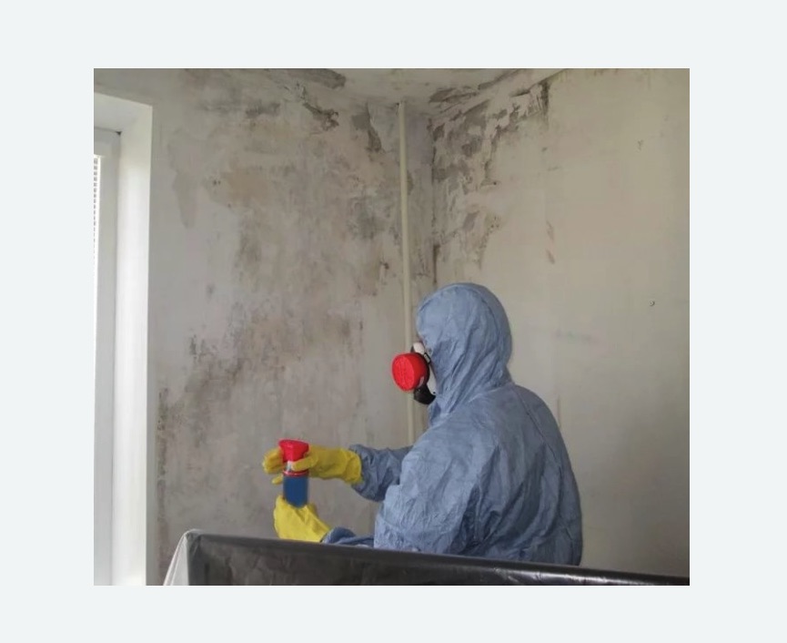 Удаление плесени в квартире в Медногорске