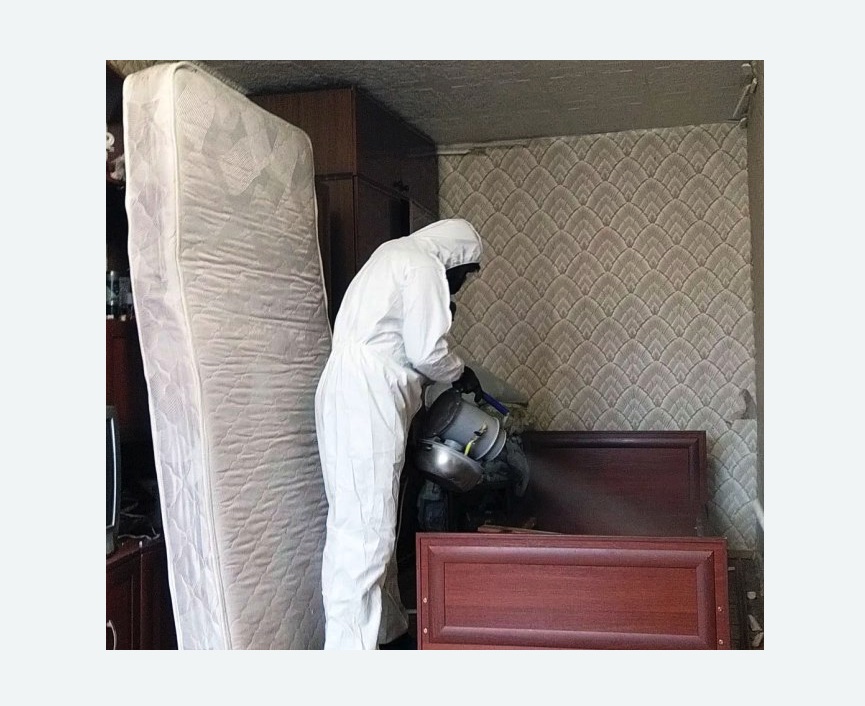 дезинфекция от клопов в Медногорске