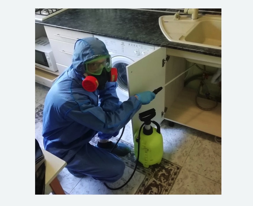 обработка от муравьев в квартире в Медногорске