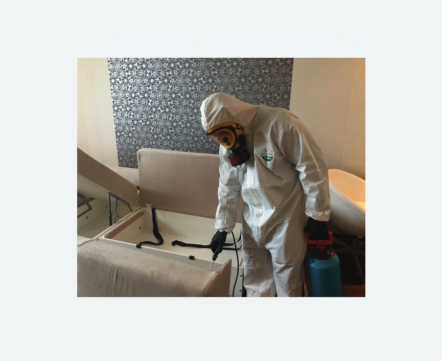 уничтожение клопов в квартире в Медногорске