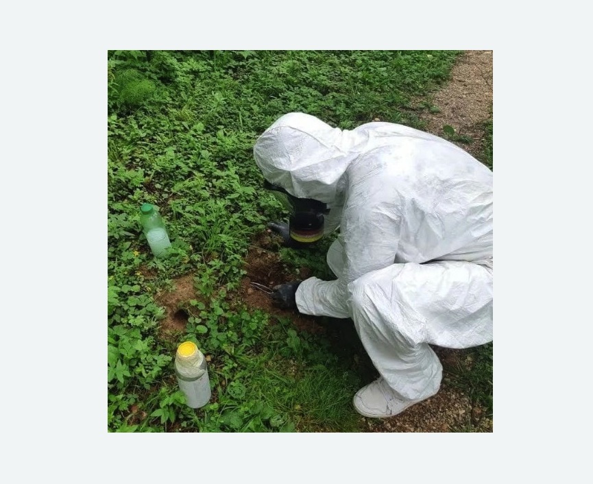 уничтожение кротов на участке в Медногорске