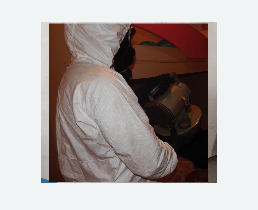 Дезинфекция от муравьев в Медногорске