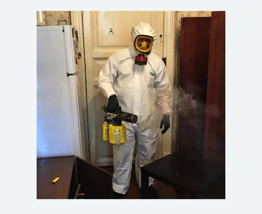 уничтожение муравьев в квартире в Медногорске